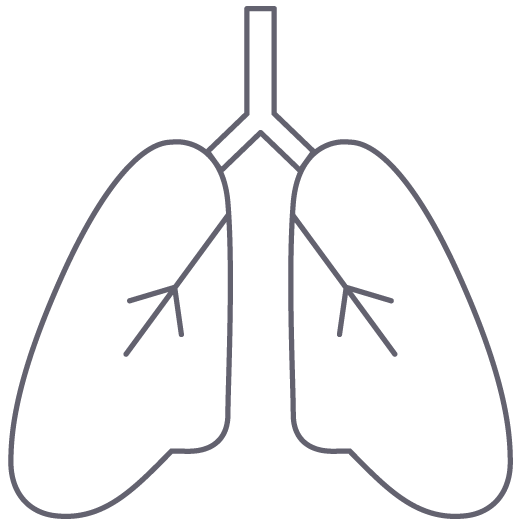 Respiratory mechanics